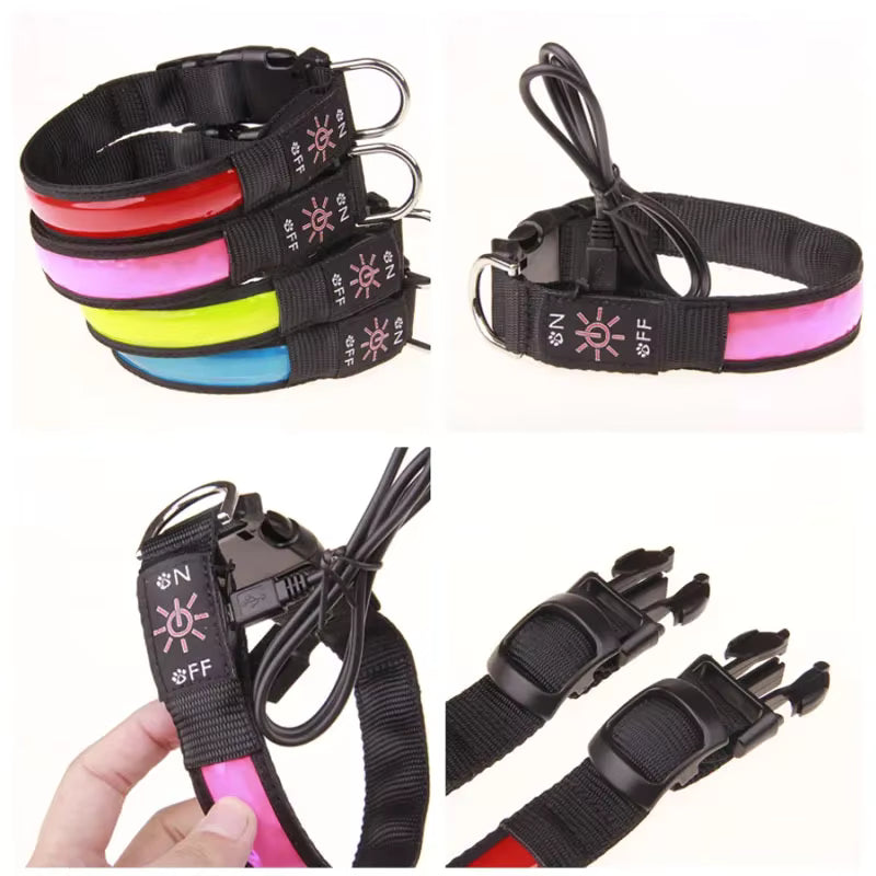 Collar LED Recargable para Perro - Luz de Seguridad para Paseos Nocturnos