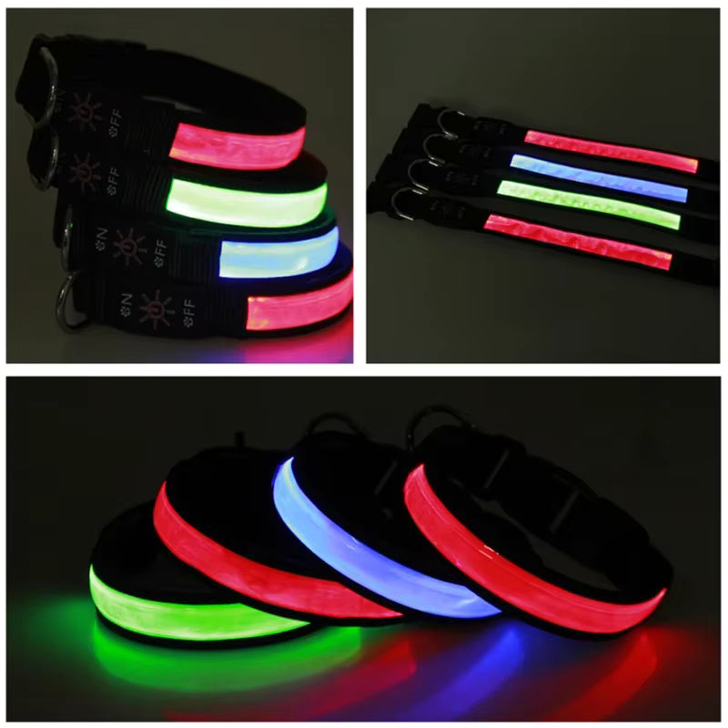 Collar LED Recargable para Perro - Luz de Seguridad para Paseos Nocturnos