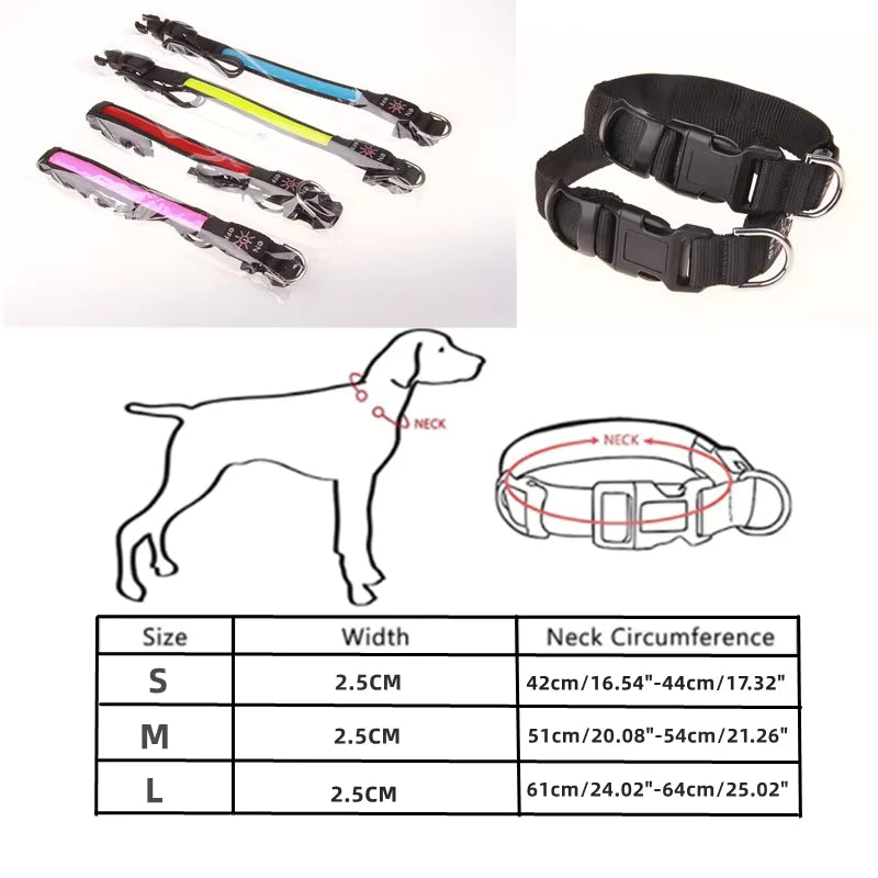 Collar LED Recargable para Perro - Luz de Seguridad para Paseos Nocturnos