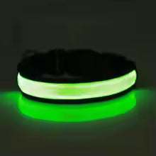 Collar LED Recargable para Perro - Visibilidad Nocturna
